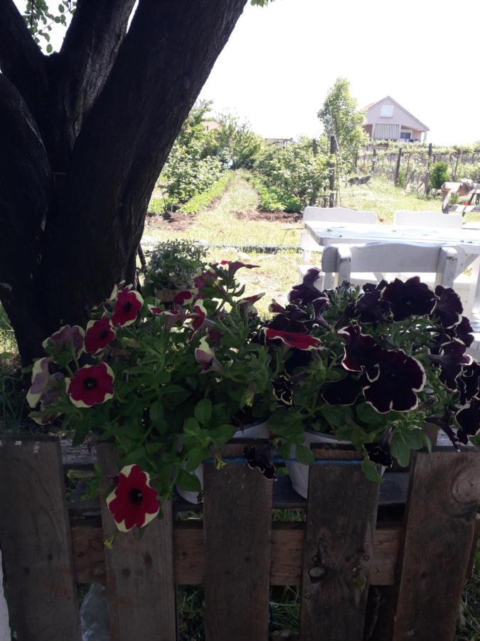 Anza Camping ชโคเดอร์ ภายนอก รูปภาพ